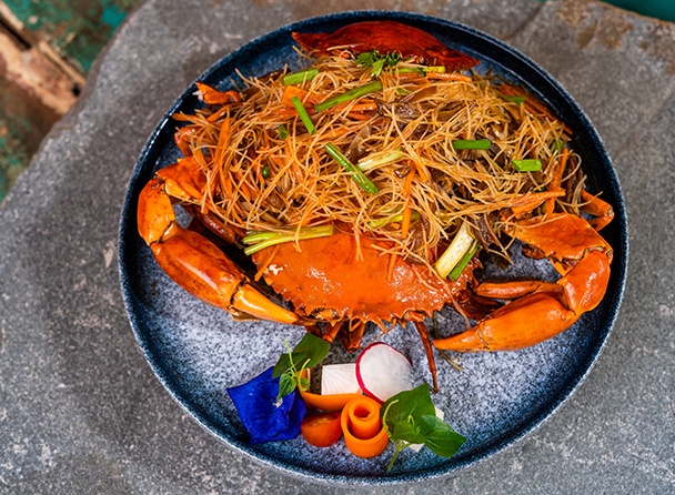 food-dish